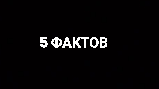 5 фактов о чикен гане