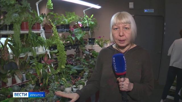 В Иркутском краеведческом музее открылась выставка комнатных цветов к Международному женскому дню