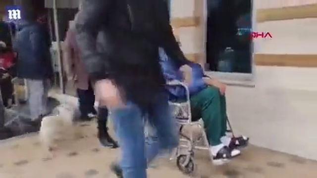 УГАРНЫЕ ЖИВОТНЫЕ СНЯТЫЕ НА КАМЕРУ. ССЫЛКА В ОПИСАНИИ!
