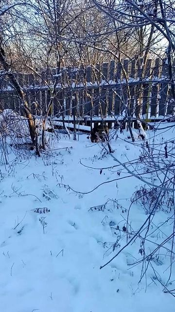 село Исады