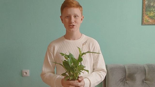 VID_20250306_203654_226.mp4