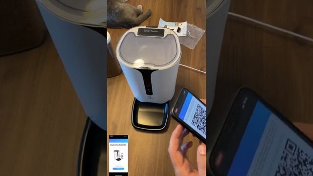 Kedi&Köpeklerimiz için otomatik mama makinesi gerekli mi? Xiaomi V86 kurulum ve ilk yorumlar (PetU)