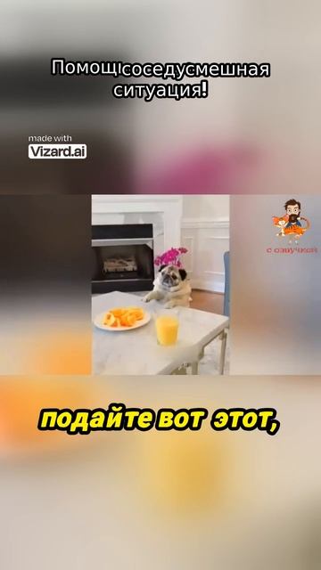 Помощь соседу_ смешная ситуация!