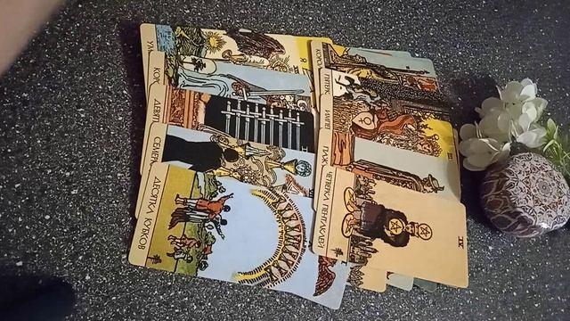 VID_20250306_182151.mp4
