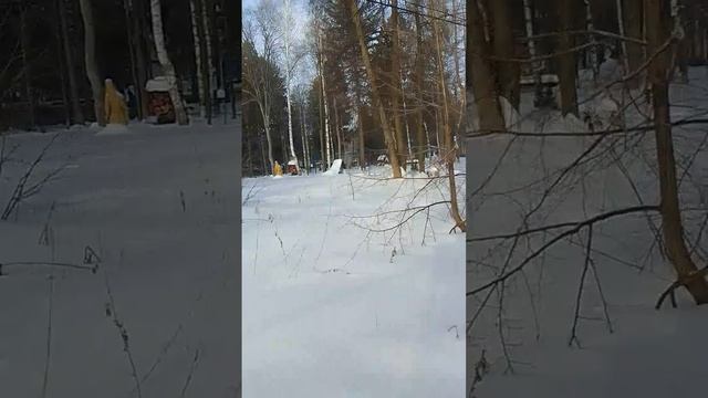 VID-20250306-WA0040