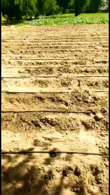 Drip Irrigation System l Drip Irrigation Working Model #agriwithdkc #shorts