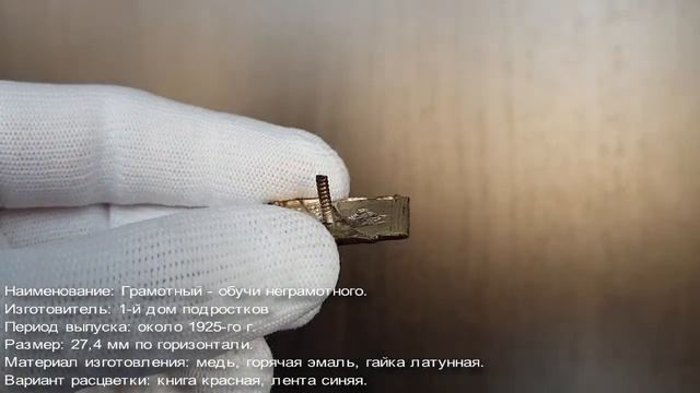 Фалеристика. Знак. Грамотный - обучи неграмотного - ОДН. РЕДКОСТЬ В ЛЮКСЕ.