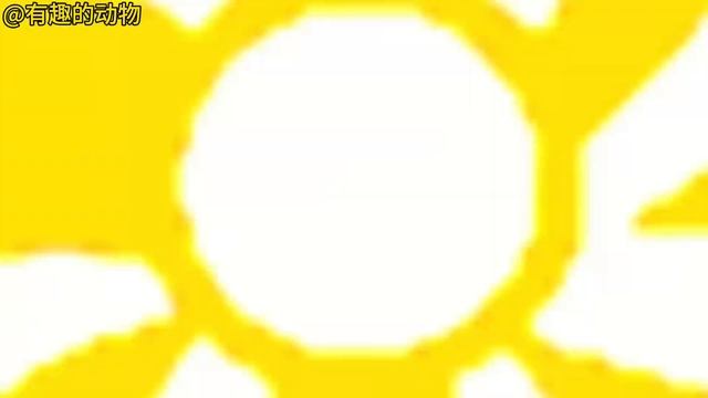 Игры с животными Петух, Слон, Горилла, Бегемот, Лев!  Эта игра очень веселая