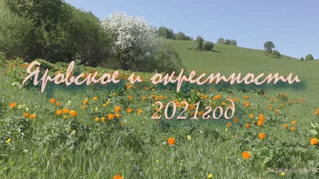 Яровское и окрестности 2021г