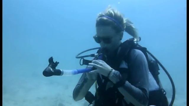 Underwater Rockband Koh Tao