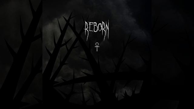 Reborn (Reloaded) (feat. Dvrko13)