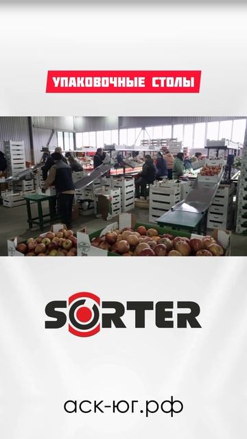 Линия сортировки яблок SORTER (до10 тонн в час) обзор часть 5