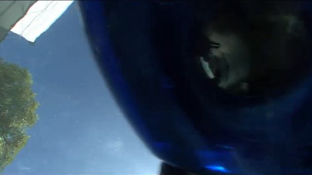 Polaris 3900 Sport Automatic Pool Cleaner Available at ePoolShop.com