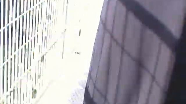 Висячий мост в парке города Нешер (Израиль)