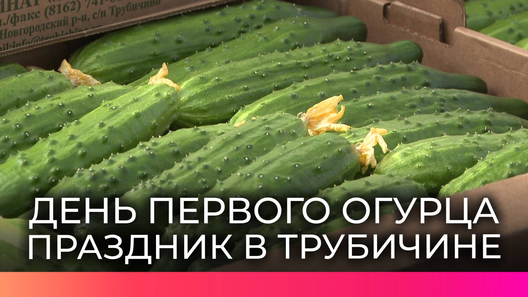 В канун Международного женского дня в Трубичине отметили Праздник первого огурца