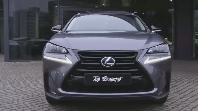 Lexus NX 300