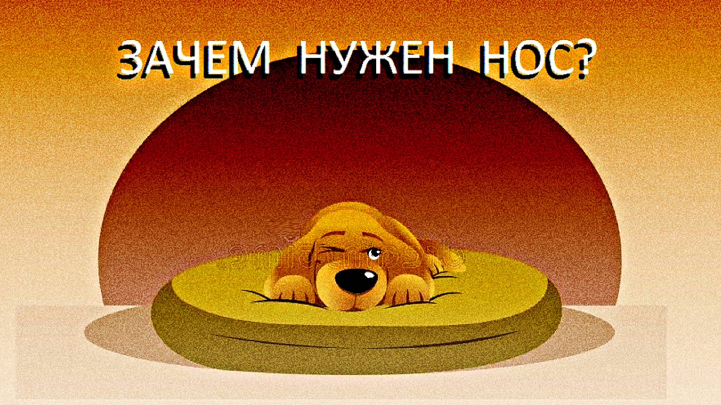 ЗАЧЕМ НУЖЕН НОС (4)