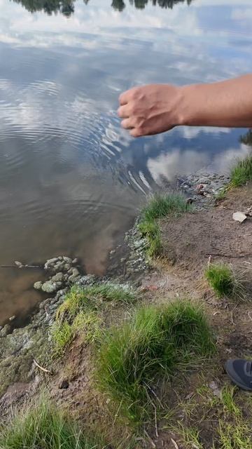 Колоссальный улов😁