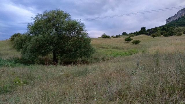 Псебай ч.1