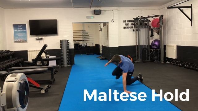 Maltese Hold