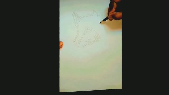 How to draw a tribal wolf head tattoo