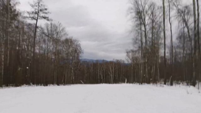 ГК Завьялиха