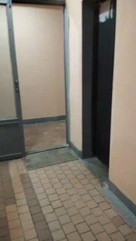 Прогулки с собаками с Винсом, 7-мар-2025