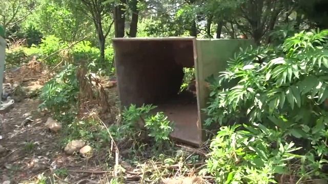Ora News - Aksi Elbasan – Seltë – Zavalinë, rruga që të vështirëson jetën