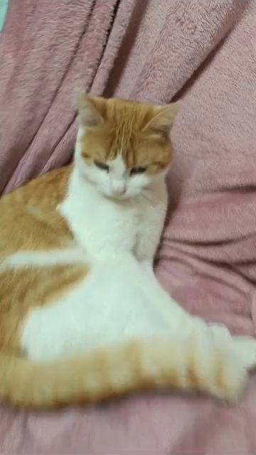 1000024286.mp4