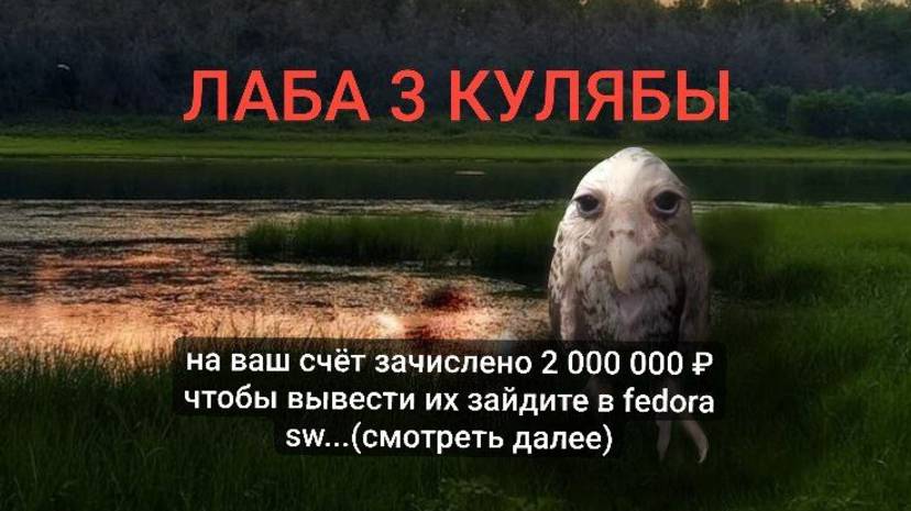 отчет по лабораторной работе 3