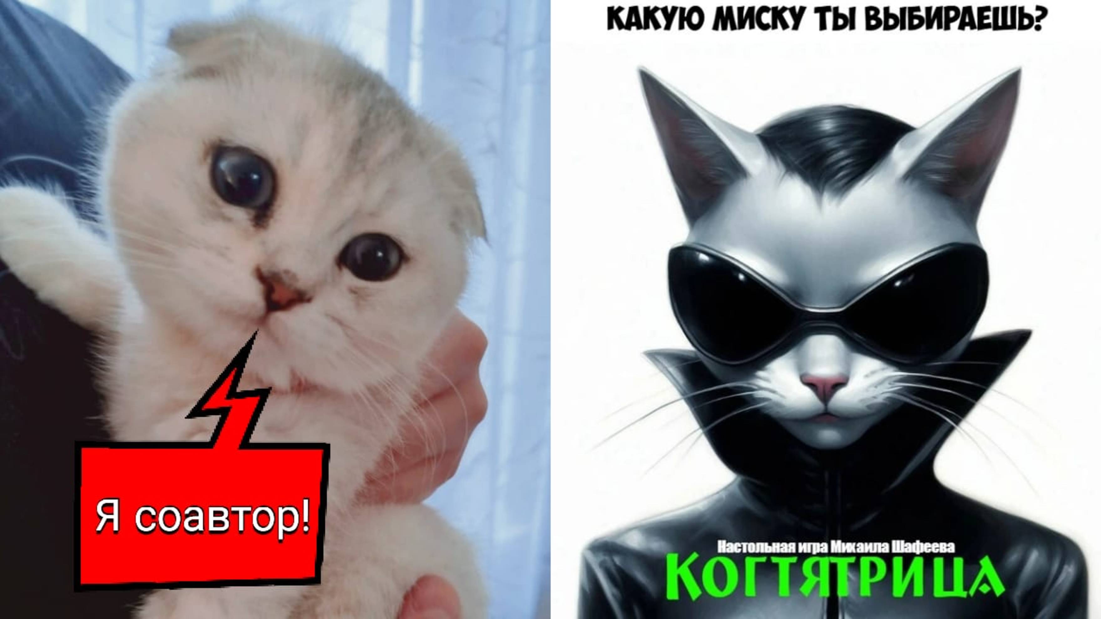 Когтятрица! Настольная игра!