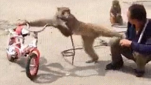 Хорош! Накурился!