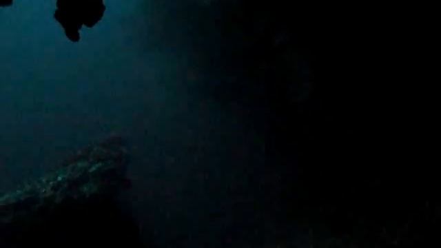 Ambient Culture DIR Dive Sessions: Club Serena