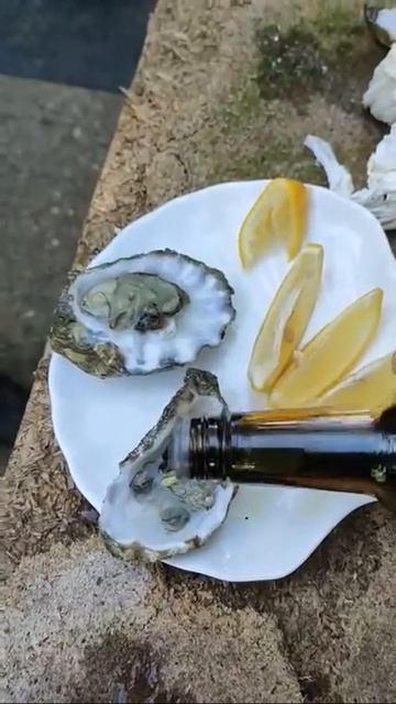 Англия .Уинстабл. Устрицы собранные нашей семьёй.