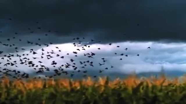 Краснов - "Исповедь"