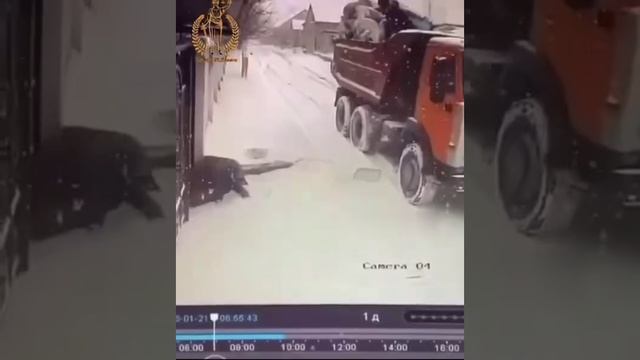 экоальянс.mp4