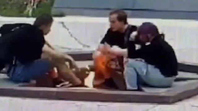 В Ленобласти вынесен приговор вандалам, пожарившим сосиски на Вечном огне мемориала "Памяти павших".