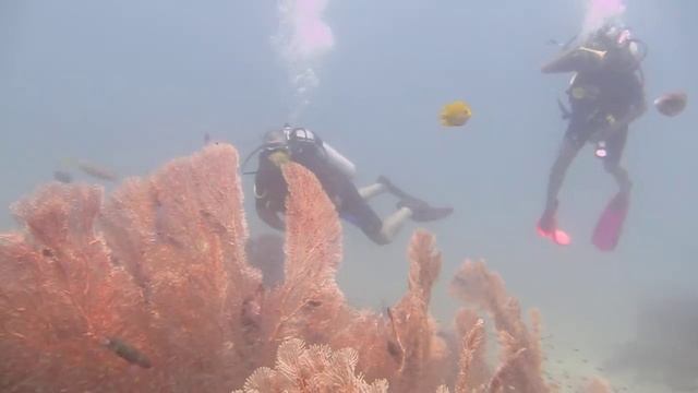 Phuket Divemaster Course - Diving Phuket, Thailand