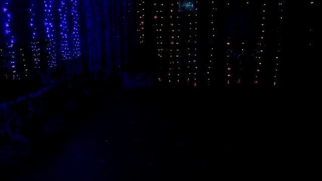 2023.12.25 ДС129 НГ 2024 2 группа Младшая-II