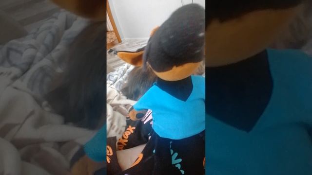 Ваксон заболел😣