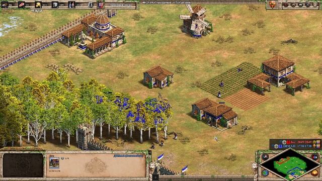 AGE OF EMPIRES 2 1x1