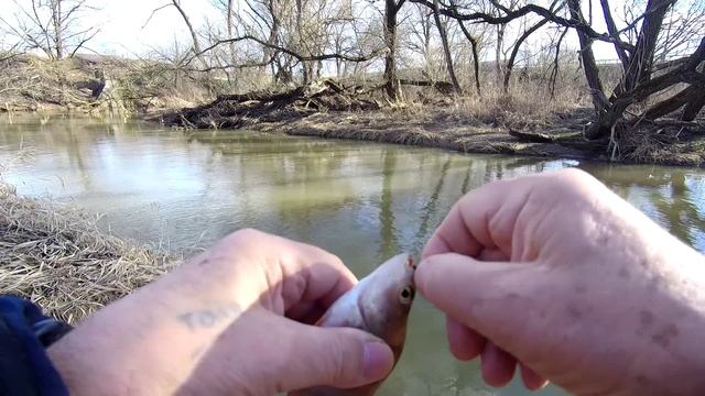 07 марта 2025 год! Открытие Бокового кивка на реке Пахра!