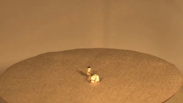Boucle d'oreille pour homme or blanc et diamant 0,25 carat chaton étoile - www.e-bijouterie.com