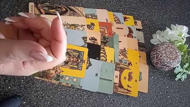 VID_20250307_114825.mp4