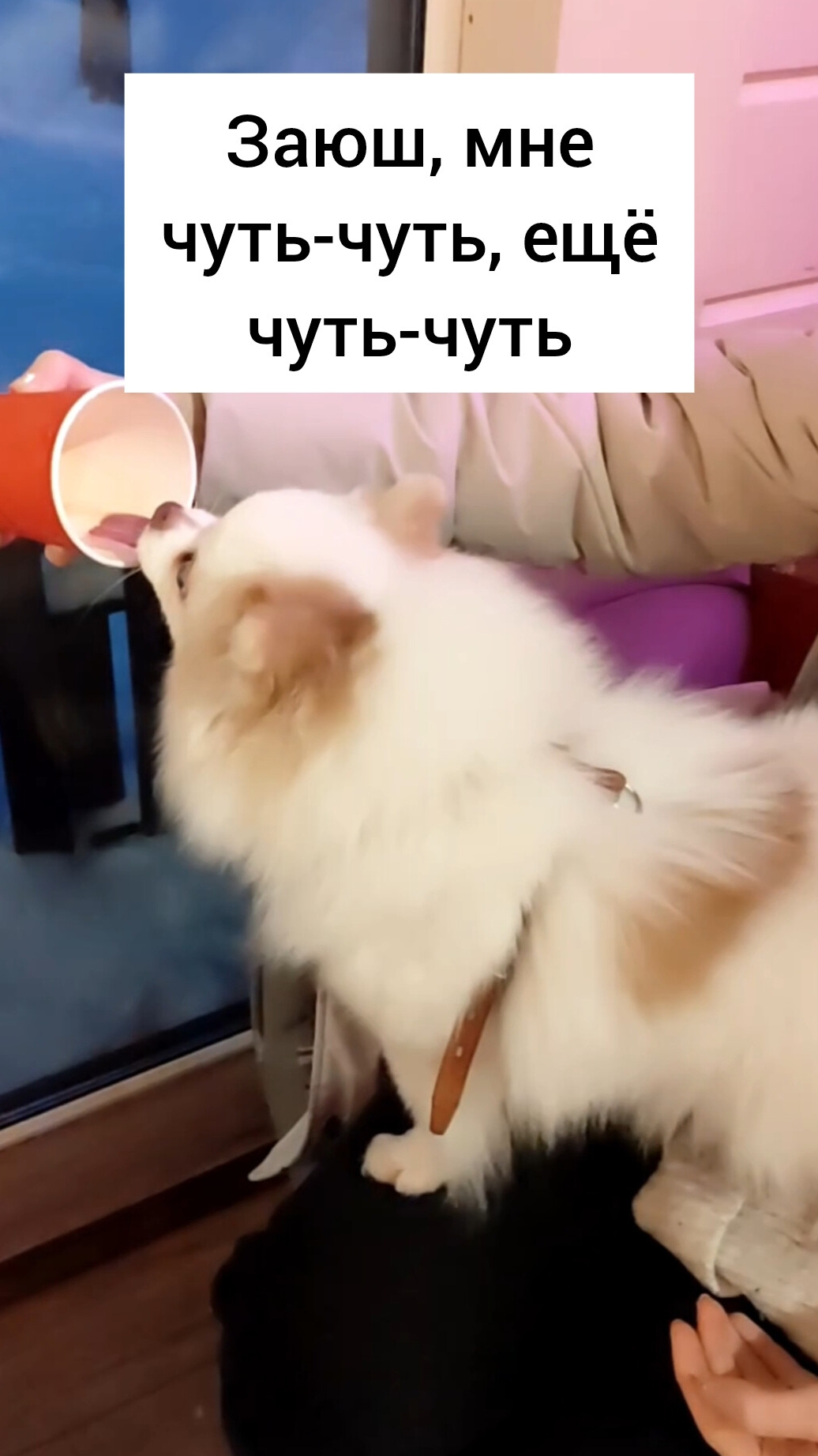 Заюш, мне чуть-чуть, ещё чуть-чуть