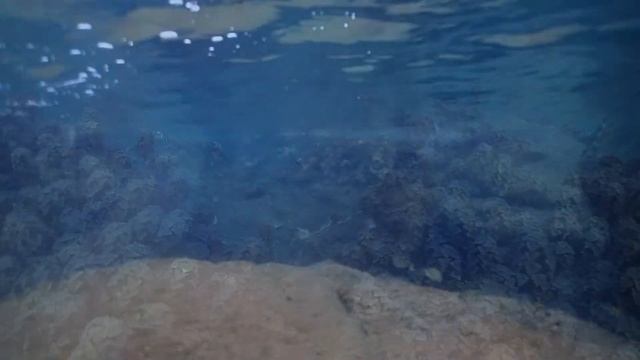 Подводная прогулка