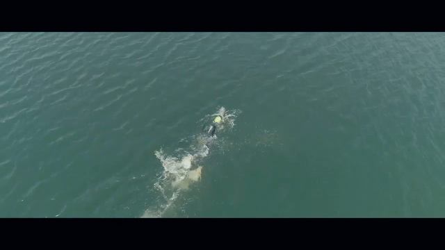 Dennis Schäfer - Triathlon Ironman Motivation Road to Kona 2019