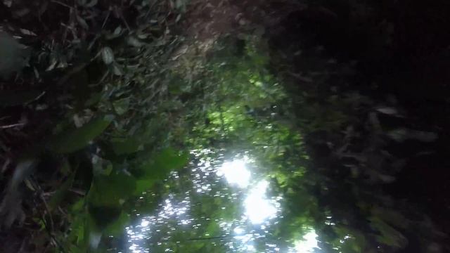 Trail Running in Bali - Adventure & Sport Travel with Juergen Schreiter | #GoPro #GoProRunning