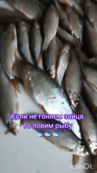 Если не гоняем зайца то ловим рыбу 🐟 🐟 🐟