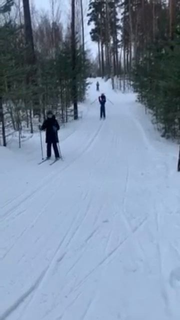 Спорт и тишина леса школа CleverOne